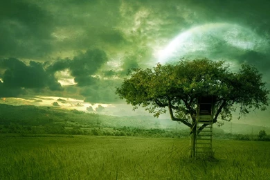 Wallpapers Download3