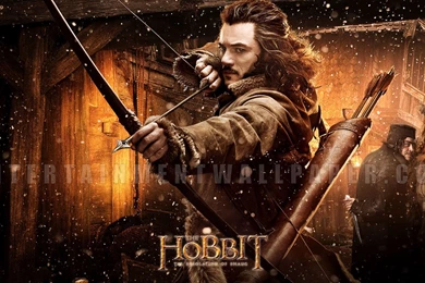 The Hobbit: The Desolation Of Smaug Wallpapers