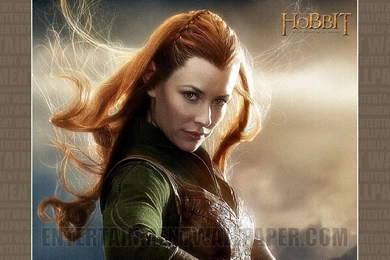 The Hobbit: The Desolation Of Smaug Wallpapers