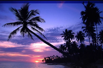 Free HQ Secret Ocean Wallpapers   Free HQ Wallpapers