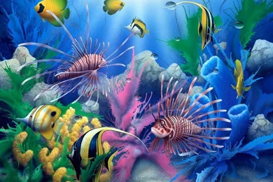 Under ocean wallpaper.jpg