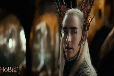 The Hobbit   The Desolation Of Smaug Wallpapers 1920x1200 (9)