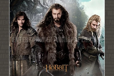 The Hobbit: The Desolation Of Smaug Wallpapers