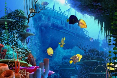 Reef Tattoo On Pinterest