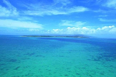 Desktop Wallpapers » Natural Backgrounds » Coral Reef » Www ...