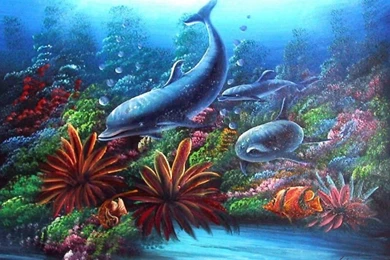 Della Knox: Coral Reef Wallpapers