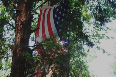 Other: USA Flag Stripes Cedar Red Nicely Wallpapers Wide For HD 16 ...