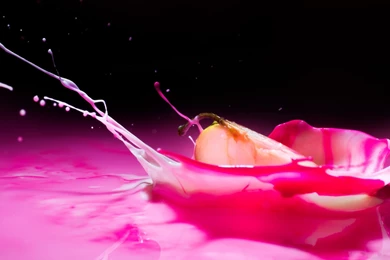 Amazing Liquid HD Wallpapers