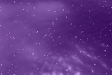Bubbles In Purple Liquid Wallpapers   Free Wide HD Wallpapers