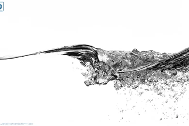 Jon Davis Photography