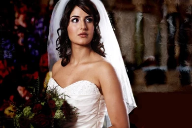 Katrina Kaif   Glamorous Celebrities