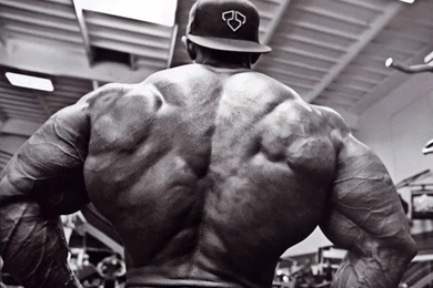 Bodybuilding Desktop Wallpaper, Bodybuilding Images, New Wallpapers