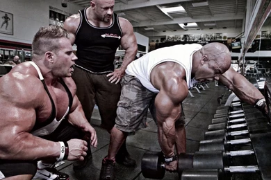 Wallpaper bodybuilding hd 2016.jpg