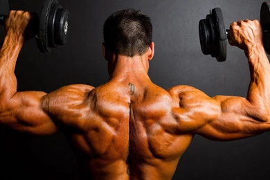 Bodybuilding HD Wallpapers