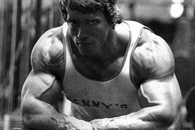 Arnold schwarzenegger bodybuilding wallpaper normal wallpaper 1935900565.jpg