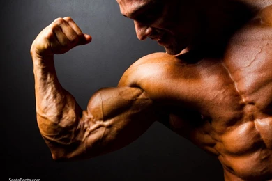 Bodybuilding Wallpapers