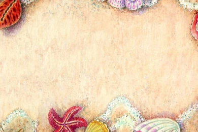 SEASHELLS ON THE BEACH WALLPAPER   (