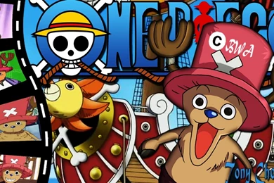 Tony Tony Chopper   One Piece Wallpapers   Anime Wallpapers