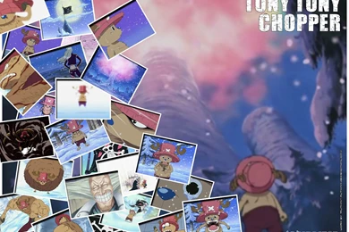 Chopper   One Piece Wallpapers (7027135)   Fanpop