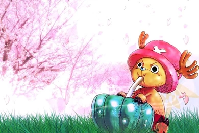 Ayunie Shayuni: I'm Chopper