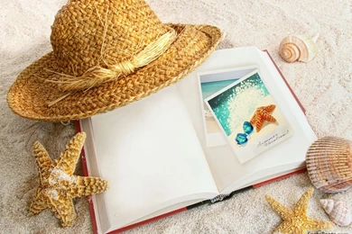 Seashells Wallpapers