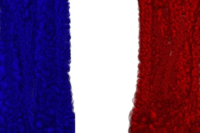 Bubbly French Flag By AyaKaito On DeviantArt
