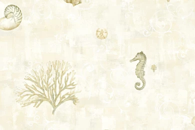 Sand Dollar Boca Raton Seashells 33' X 20.5" Scenic 3D Embossed ...