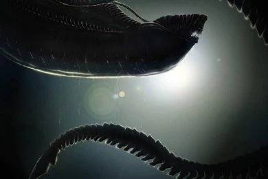 Aliens Movie Wallpapers [2]   (