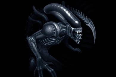 Aliens Movie HD Wallpaper, Aliens Movie Images, New Wallpapers