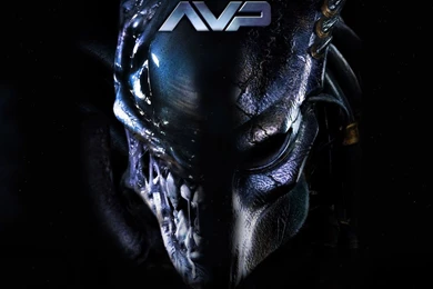 Movies Predator Aliens Vs Predator Movie Wallpapers