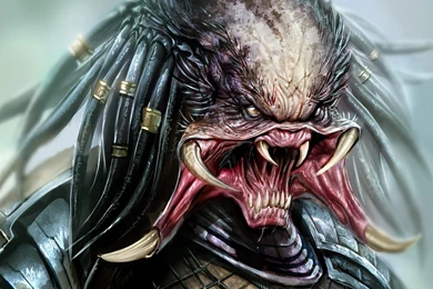 Predator Movie Artwork Aliens HD Wallpapers Wallpapers   (