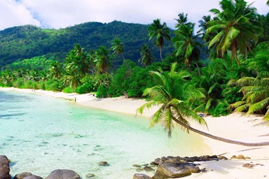 Beautiful Beach Hd Wallpapers (112)