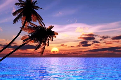 Beautiful Beach Sunsets   Wallpaper.