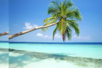 Beautiful Beach Hd Wallpapers (71)