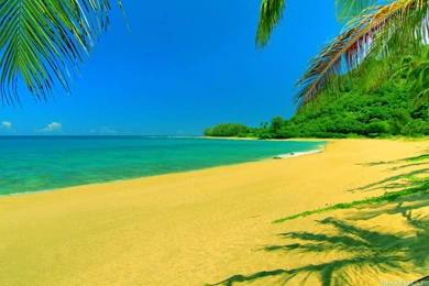 Beautiful Summer Beach Wallpapers 1920x1080   1529708