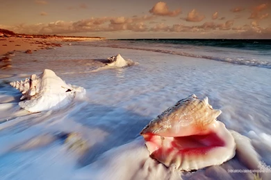 Beautiful Beach Hd Wallpapers (57)