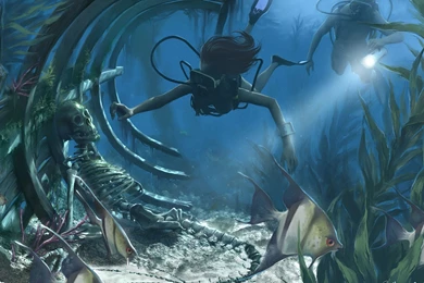 Ocean Wallpaper Backgrounds