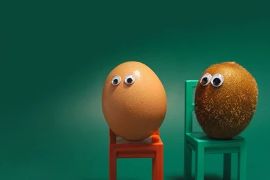 Download Wallpapers 1920x1080 Egg, Kiwi Fruit, Eyes, Chairs, Funny ...