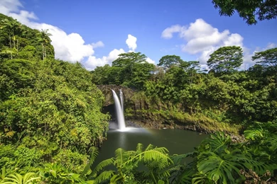 YouWall   Forest Lake Waterfall Wallpapers   Wallpaper,wallpapers ...