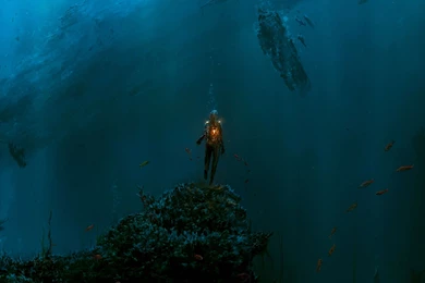 Lifeforce Wallpaper Backgrounds