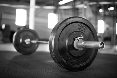 Barbell   Google Search