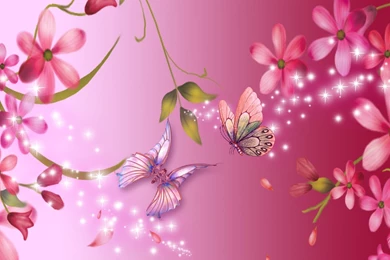 Bright Pink Wallpapers   All Wallpapers New