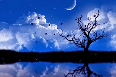 Rromantic Wallpapers Shayari,shayari Good Morning,latest Dard ...