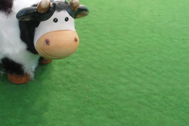 1280x1024 Cute Cow Desktop PC And Mac Wallpapers