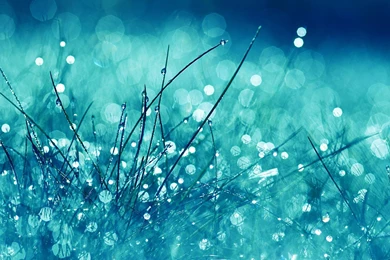 Wallpapers RaiN WAllpApErs. . .(DarE) [Archive]   Home Of ...