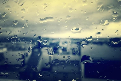 Theme Bin» Blog Archive » Rainy Day HD Wallpapers