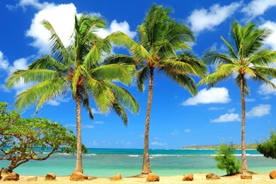 Tropical Beach Backgrounds For Desktop 3.jpg