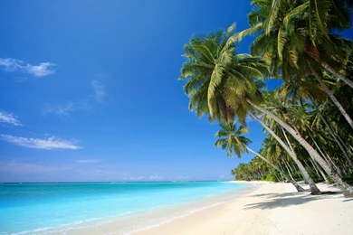 Tropical Beach Hd New Wallpapers