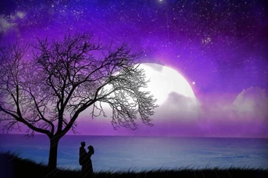 Lamparao Amor Decampos: Wallpapers Loves