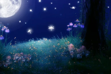 TWILIGHT WITH DRAGONFLIES WALLPAPER   (